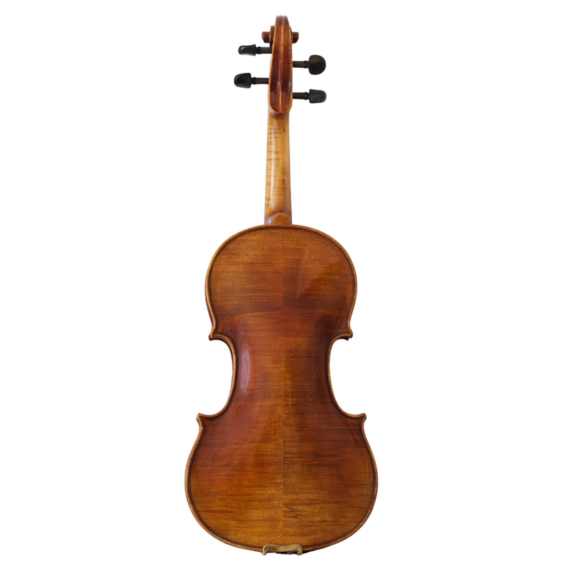Violín Modelo Gaetano Pollastri - Amadeus