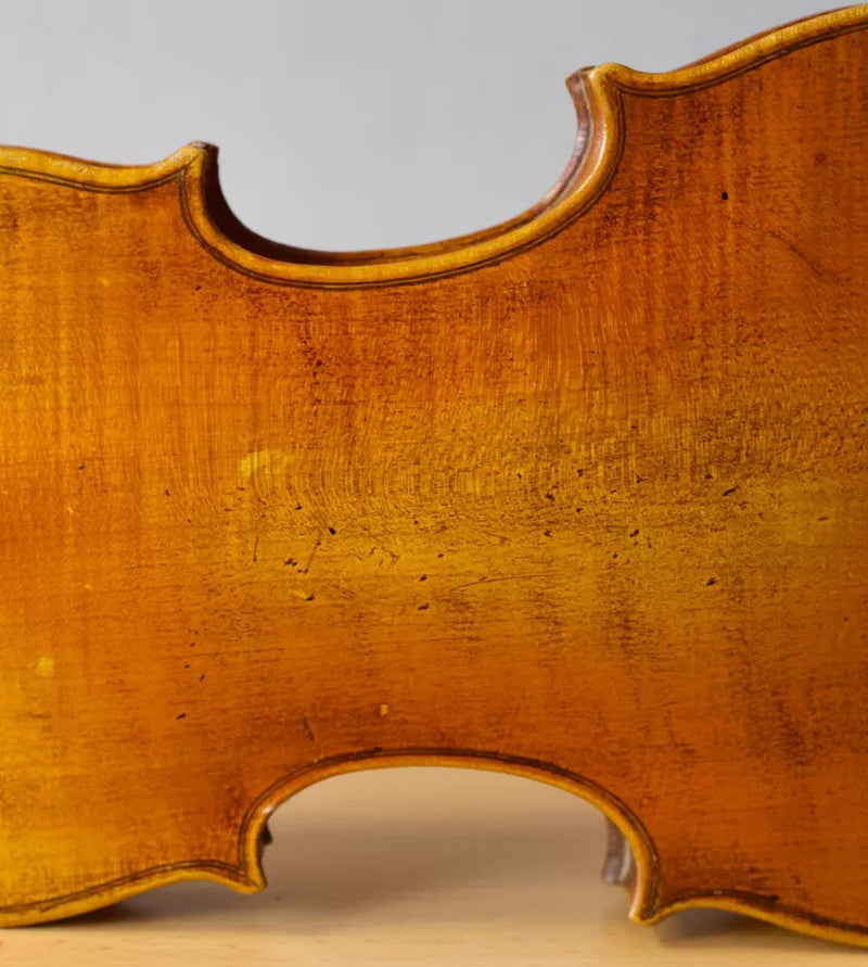 Violín Bernandus Calcanius - Amadeus
