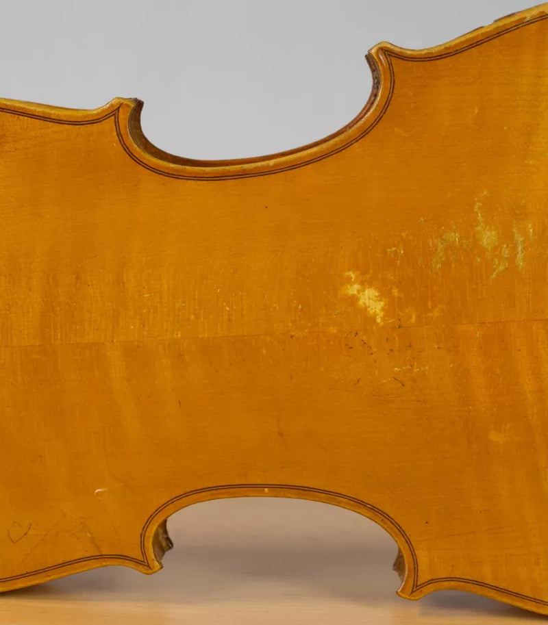 Violin Giuseppe Lecchi - Amadeus