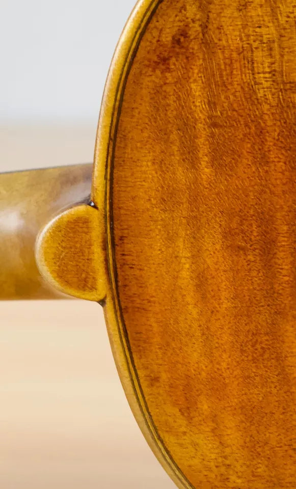 Violín JO. BAP. ROGERIUS - Amadeus