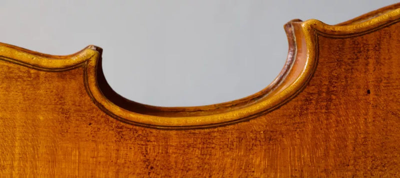 Violín Bernandus Calcanius - Amadeus