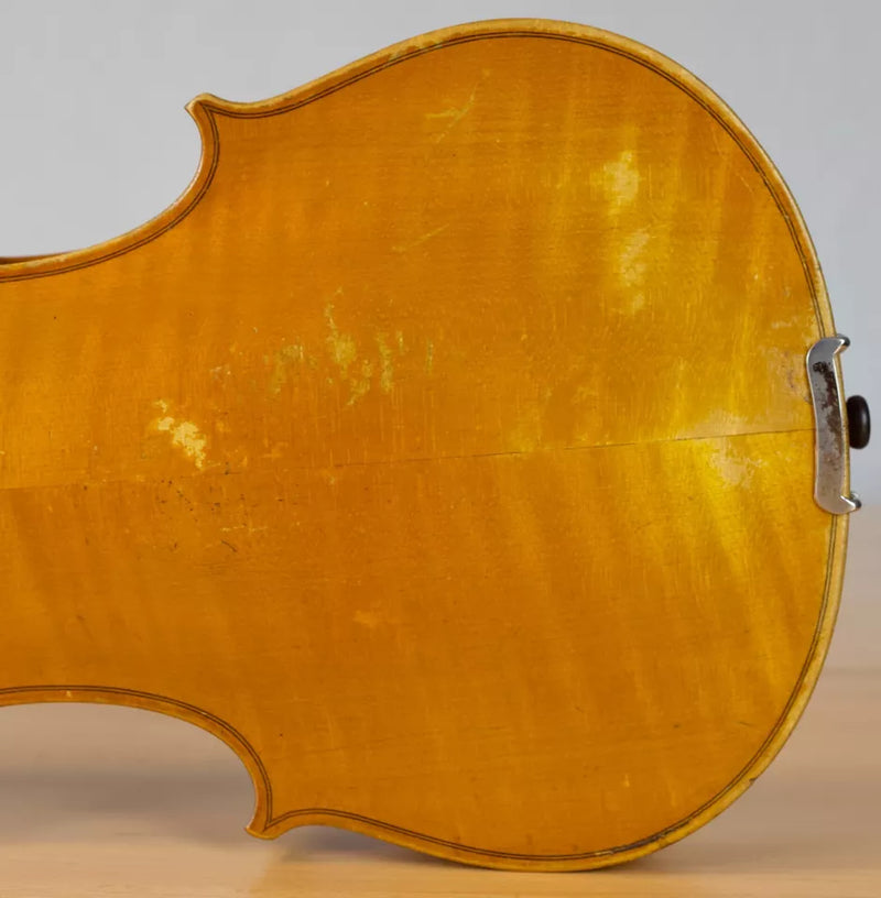 Violin Giuseppe Lecchi - Amadeus