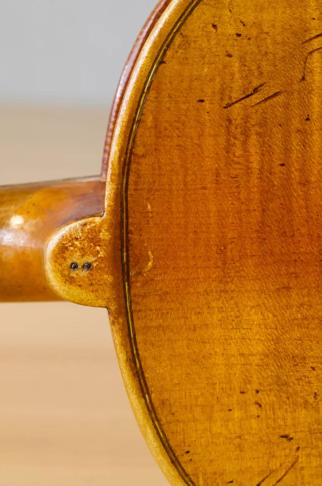 Violín Bernandus Calcanius - Amadeus