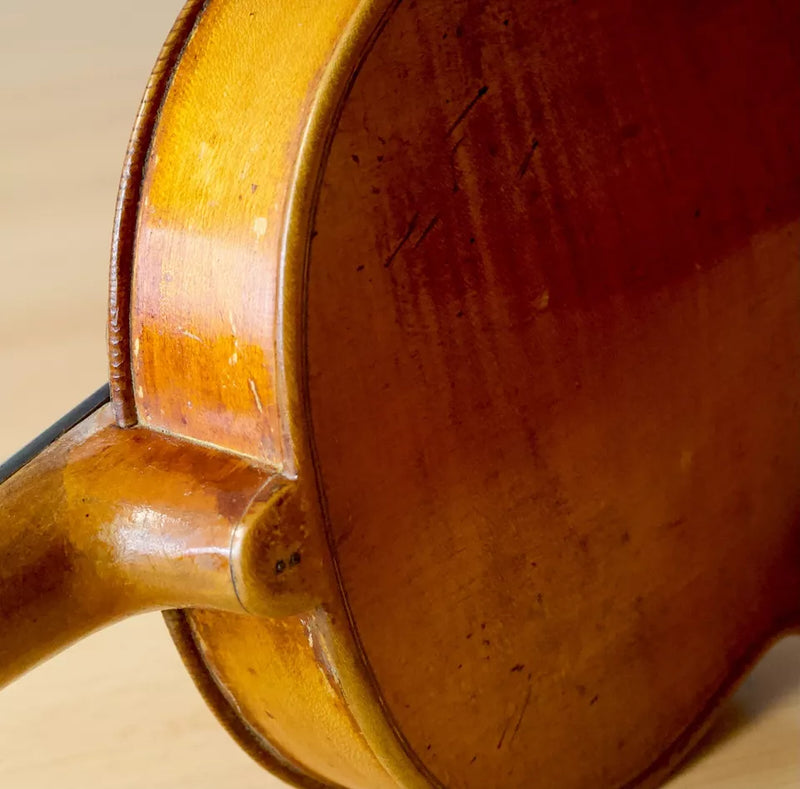 Violín Bernandus Calcanius - Amadeus
