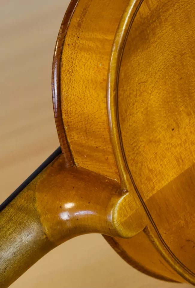 Violin Giuseppe Lecchi - Amadeus