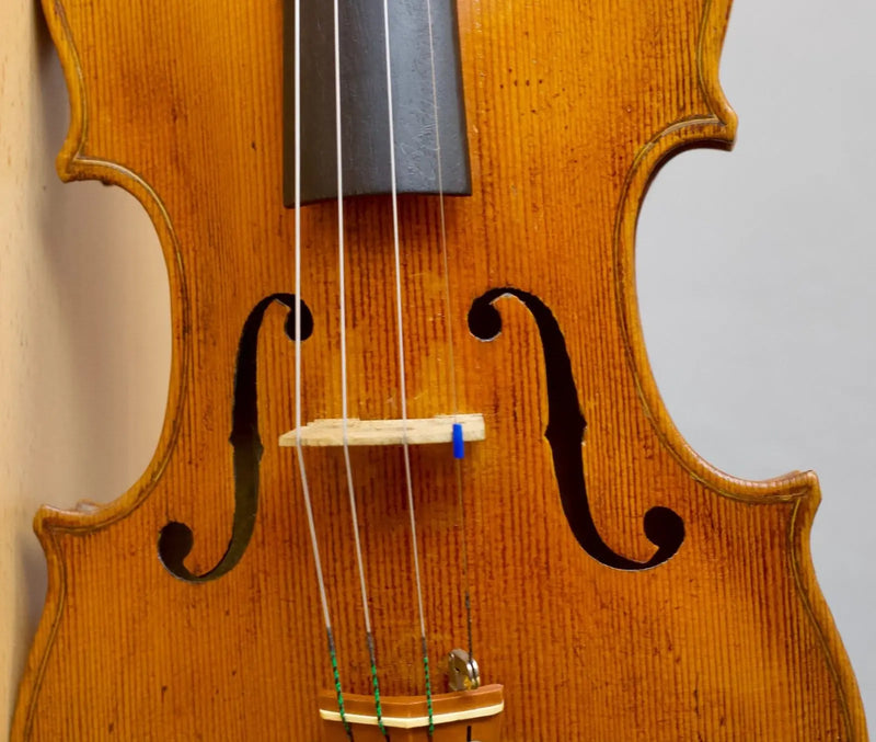 Violín Bernandus Calcanius - Amadeus