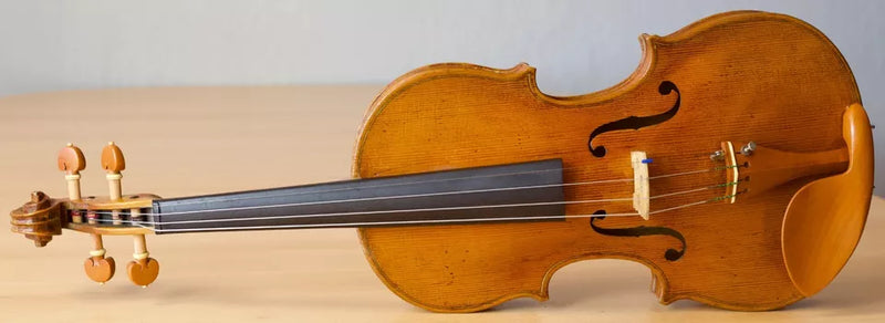 Violín Bernandus Calcanius - Amadeus