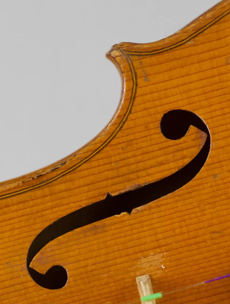 Violin Giuseppe Lecchi - Amadeus