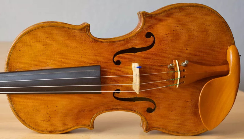 Violín Bernandus Calcanius - Amadeus