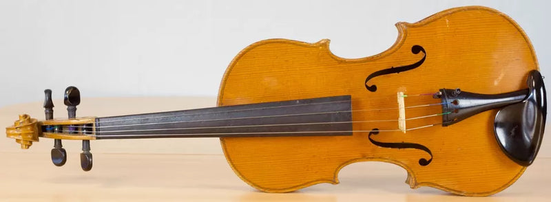 Violin Giuseppe Lecchi - Amadeus