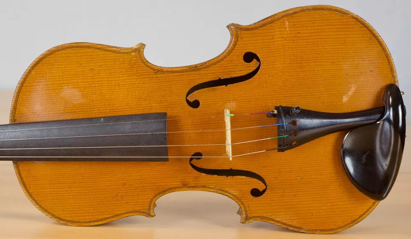 Violin Giuseppe Lecchi - Amadeus