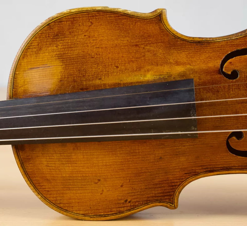 Violín JO. BAP. ROGERIUS - Amadeus