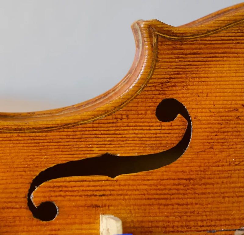 Violín Bernandus Calcanius - Amadeus