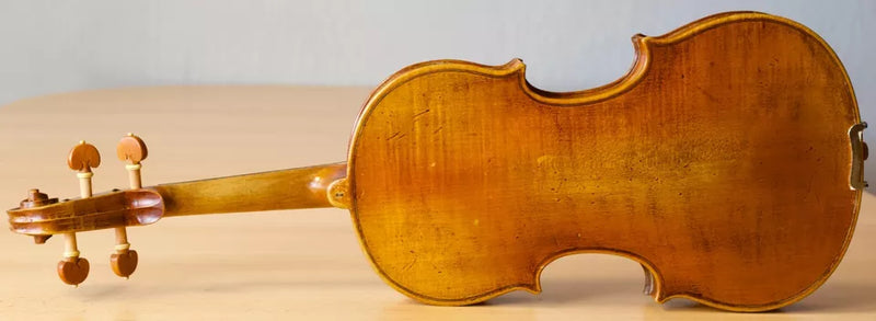 Violín Bernandus Calcanius - Amadeus