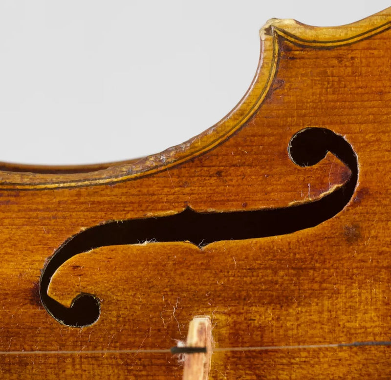 Violín JO. BAP. ROGERIUS - Amadeus