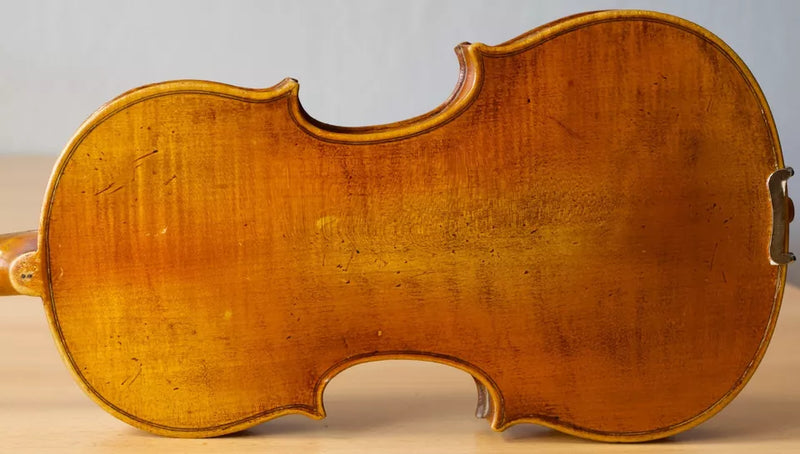 Violín Bernandus Calcanius - Amadeus