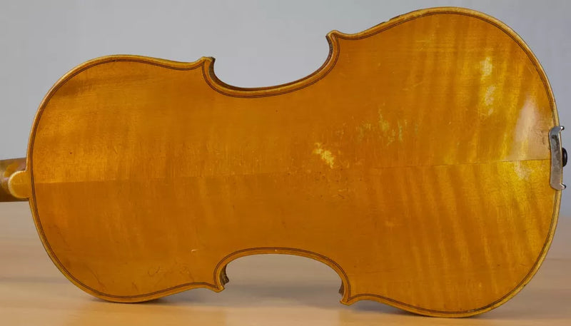 Violin Giuseppe Lecchi - Amadeus