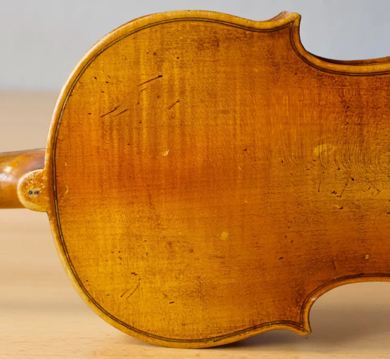 Violín Bernandus Calcanius - Amadeus