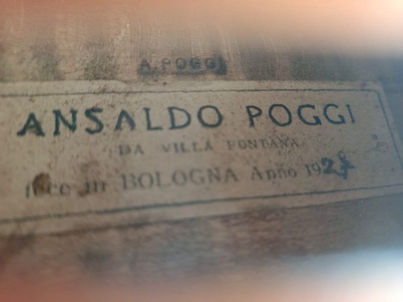 Violín Ansaldo Poggi - Amadeus