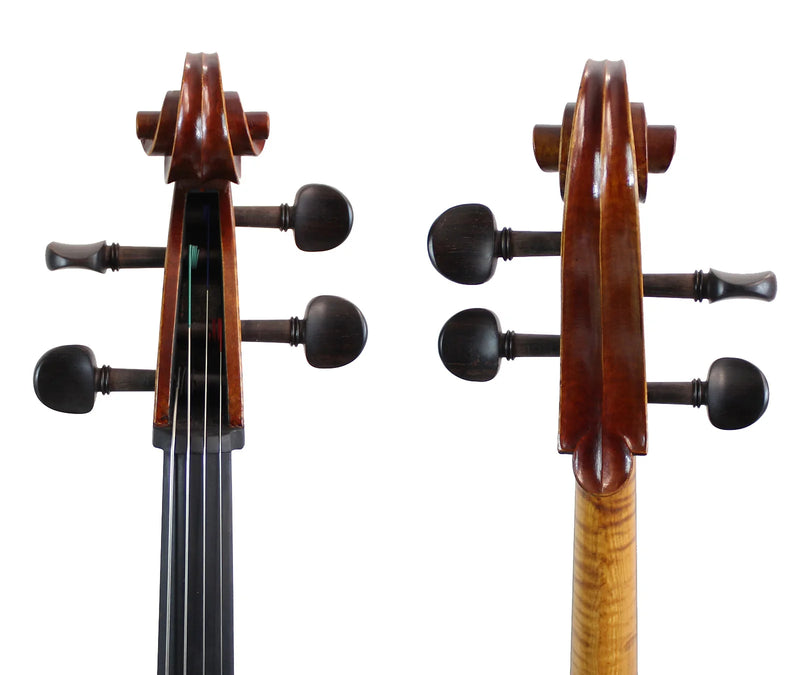 Violonchelo Modelo  Rogeri 1710 - Amadeus