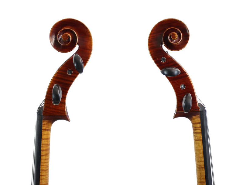 Violonchelo Modelo  Rogeri 1710 - Amadeus