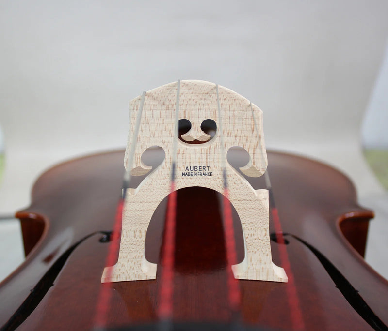 Violonchelo Modelo  Rogeri 1710 - Amadeus