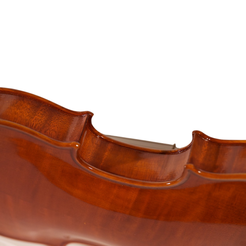 Violín Modelo Pedrazzini (Modelo Solista) - Amadeus