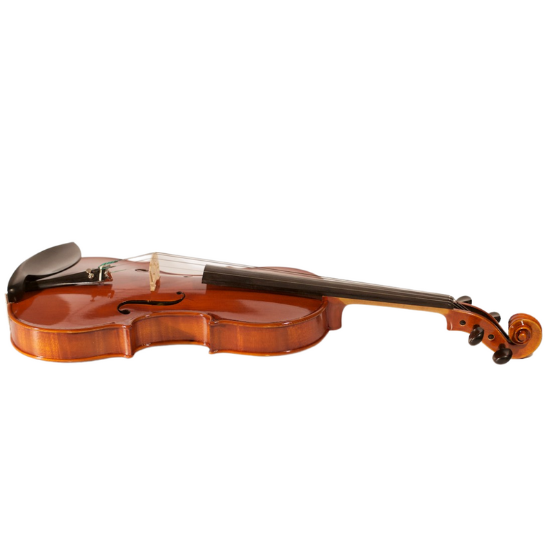 Violín Modelo Pedrazzini (Modelo Solista) - Amadeus