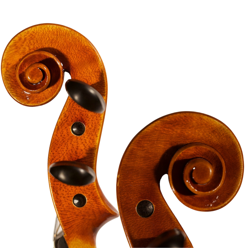 Violín Modelo Pedrazzini (Modelo Solista) - Amadeus