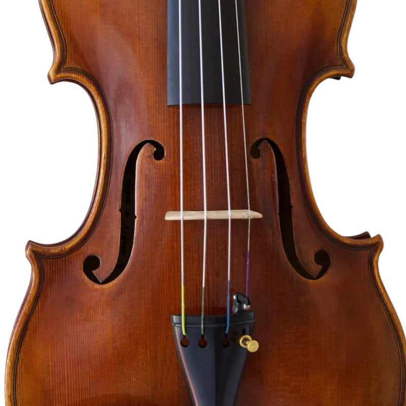 Violín Modelo Gaetano Pollastri - Amadeus