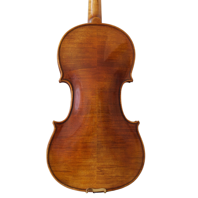 Violín Modelo Gaetano Pollastri - Amadeus