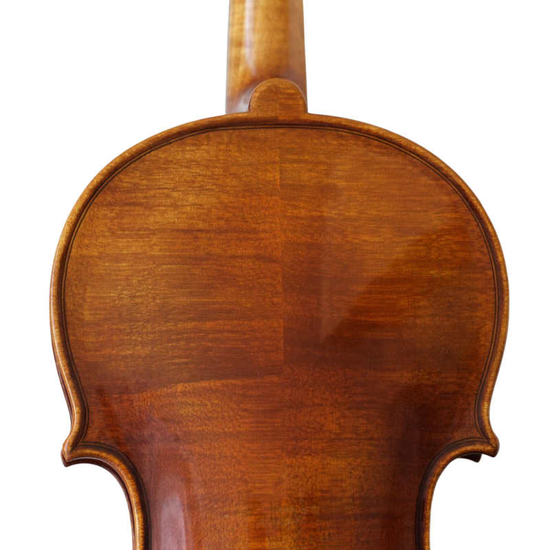 Violín Modelo Gaetano Pollastri - Amadeus