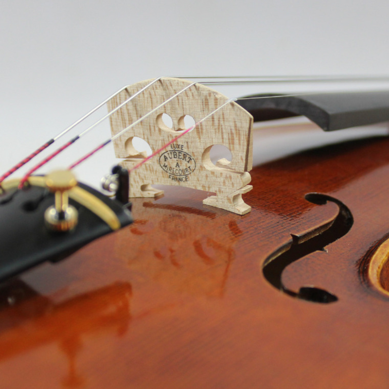 Violín  Amati - Amadeus