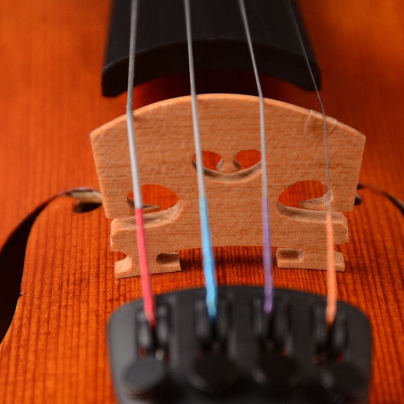 Violín 3/4 - Amadeus