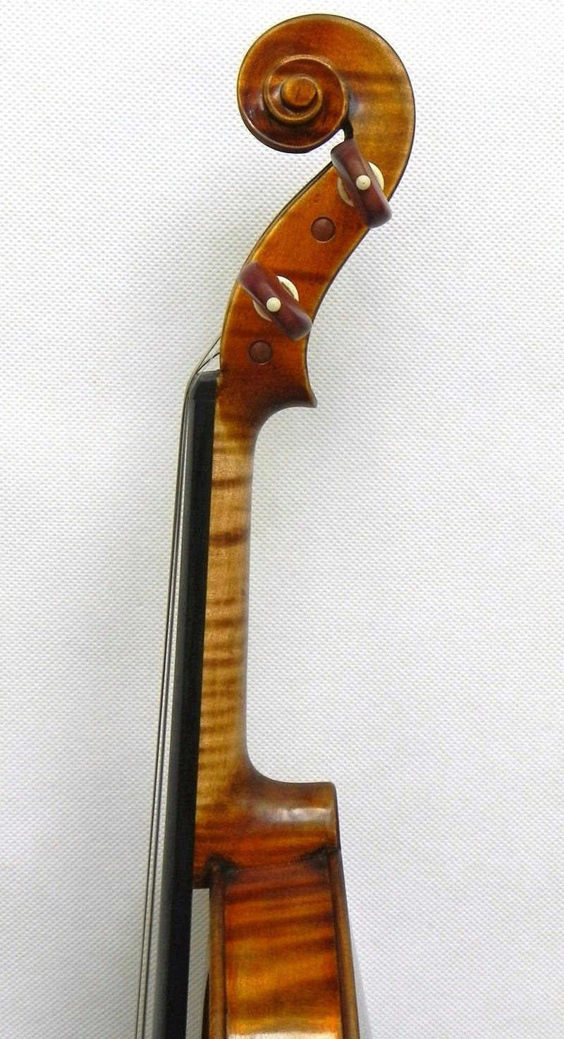 Violín 4/4, Modelo Guarneri del Gesu "Cannone" - Amadeus