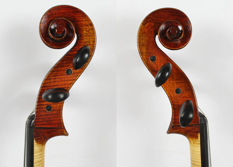 Violonchelo Modelo  Rogeri 1710 - Amadeus