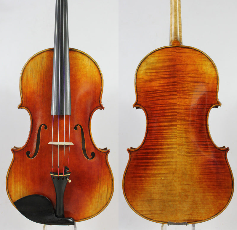 Conte Vitale Viola 16.5" - Amadeus