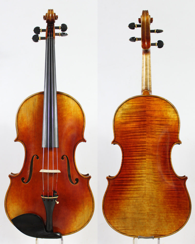 Conte Vitale Viola 16.5" - Amadeus