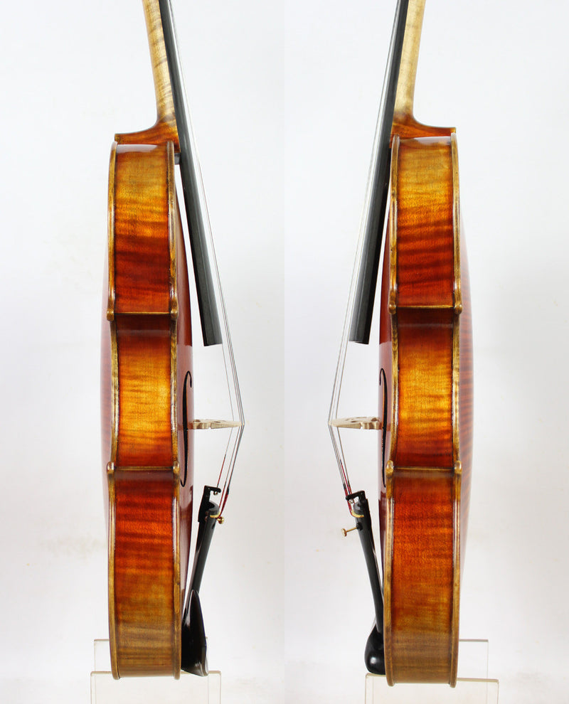 Conte Vitale Viola 16.5" - Amadeus