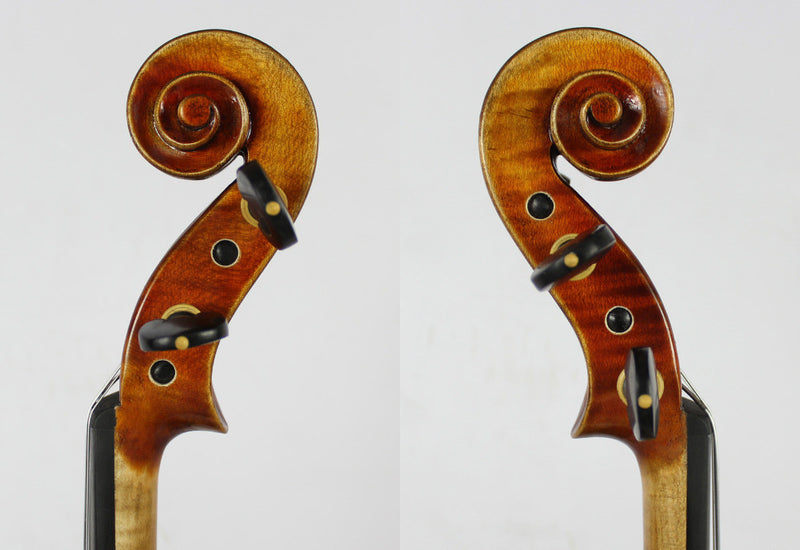 Conte Vitale Viola 16.5" - Amadeus