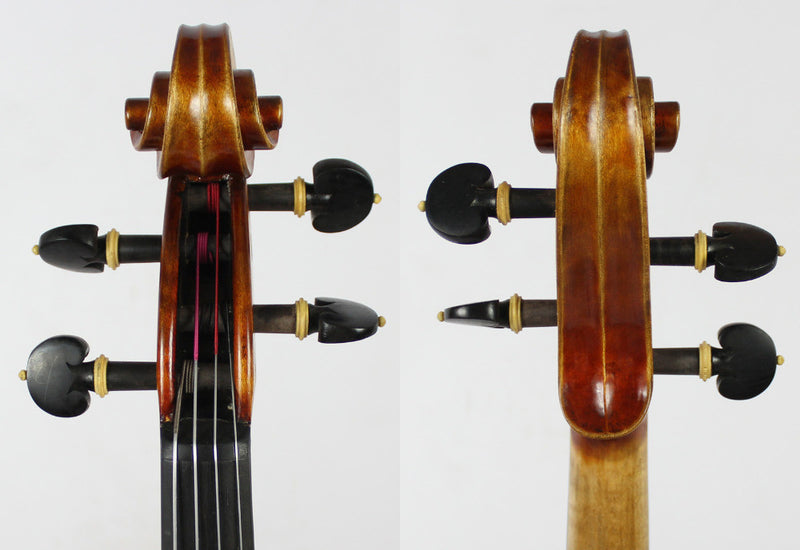 Conte Vitale Viola 16.5" - Amadeus