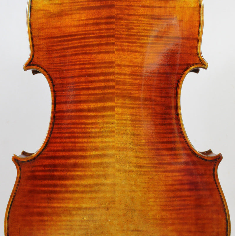 Conte Vitale Viola 16.5" - Amadeus