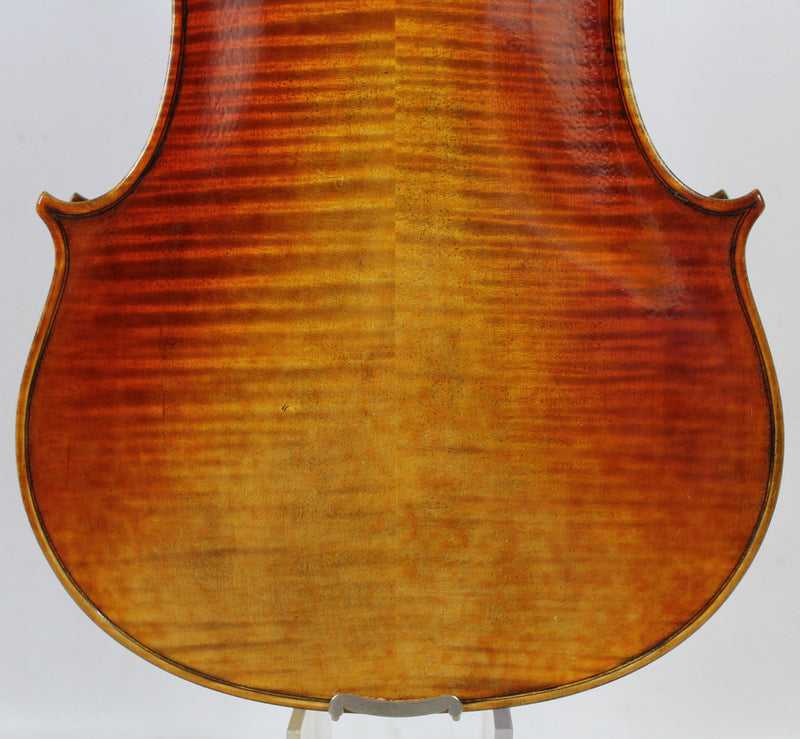 Conte Vitale Viola 16.5" - Amadeus