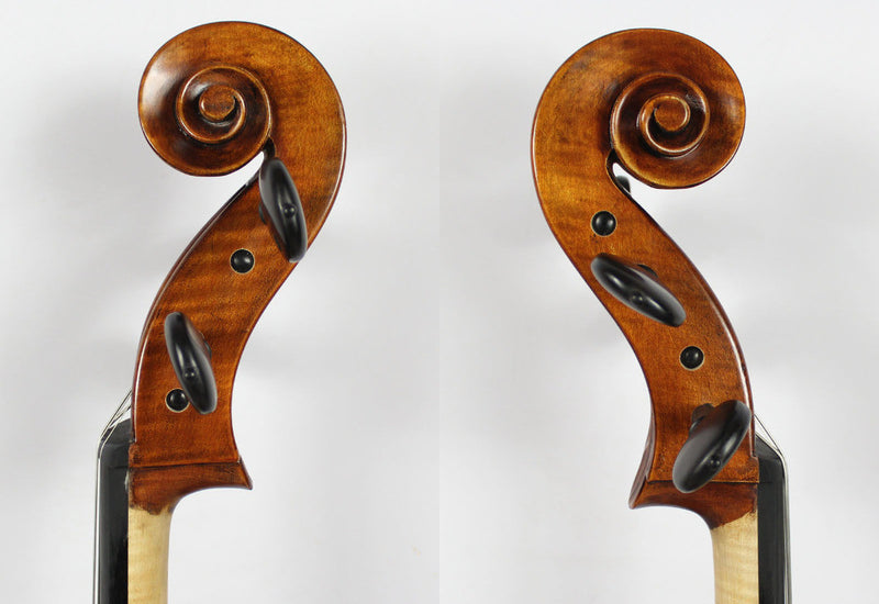 Violoncello Modelo Guadagnini - Amadeus