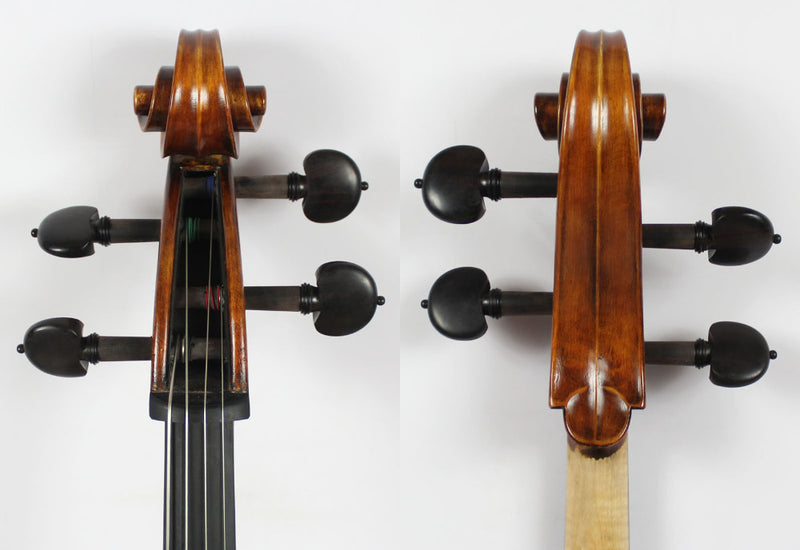 Violoncello Modelo Guadagnini - Amadeus