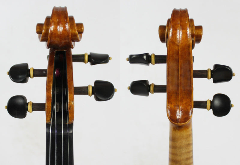 Violín Modelo Guarnerius - Amadeus